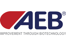 AEB Group